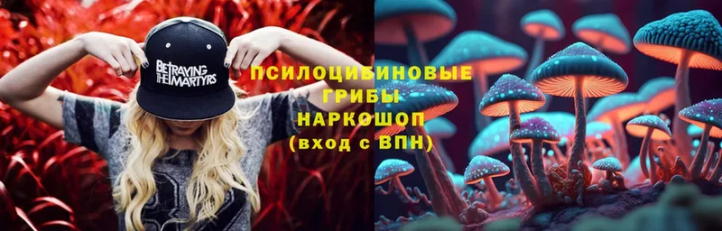 Псилоцибиновые грибы мицелий  Тулун 